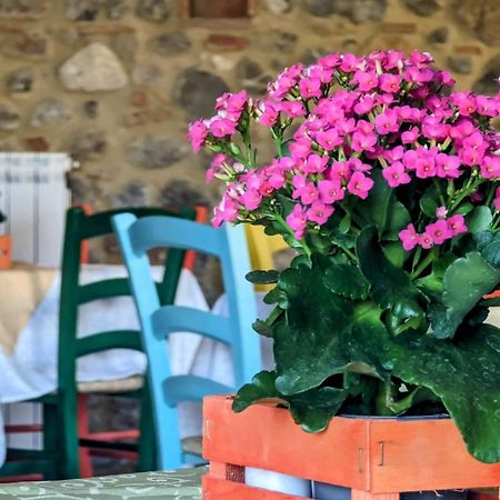La Quinta Decima Bioagriturismo Fattoria Spedaletto Eksteriør billede