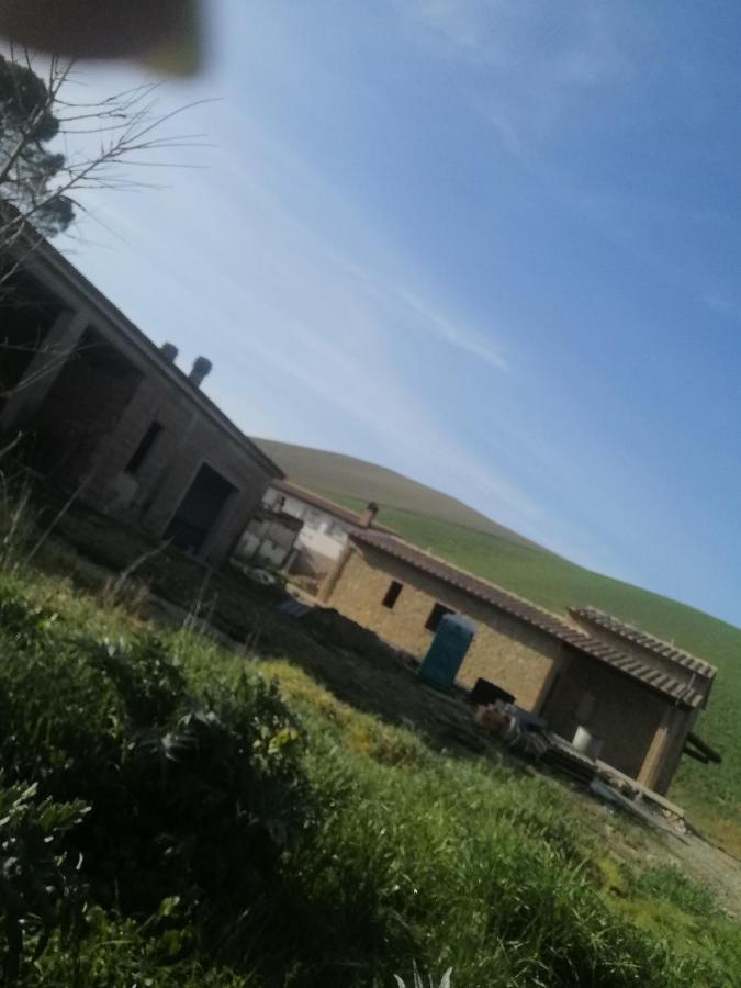 La Quinta Decima Bioagriturismo Fattoria Spedaletto Eksteriør billede