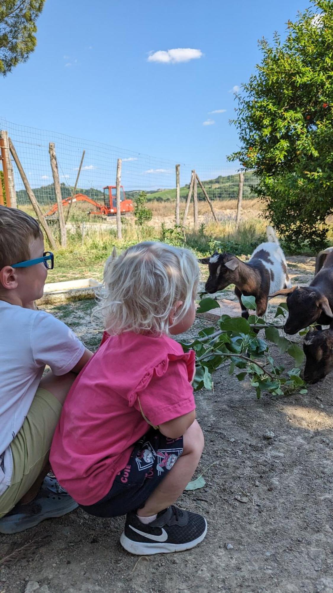 La Quinta Decima Bioagriturismo Fattoria Spedaletto Eksteriør billede
