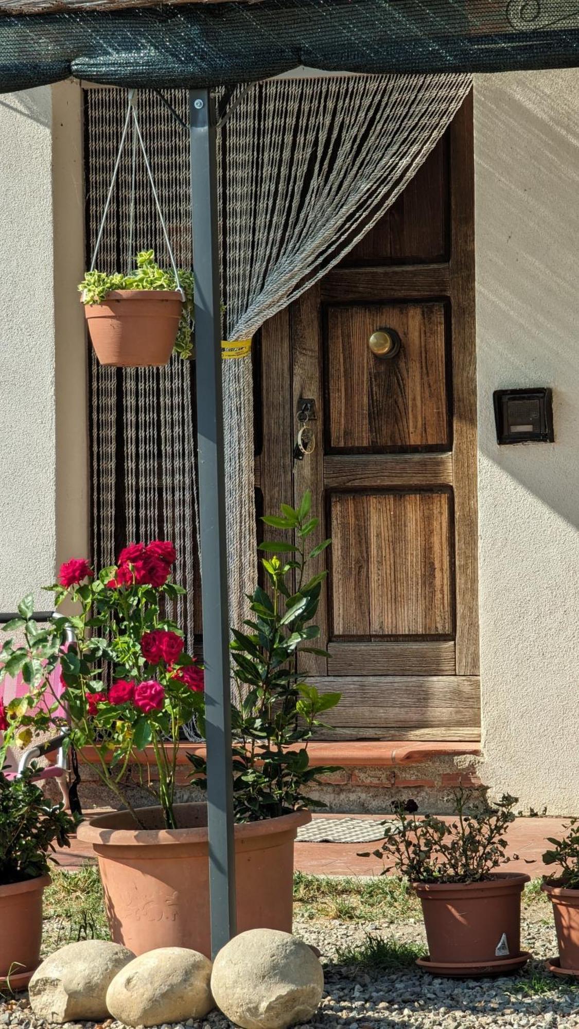 La Quinta Decima Bioagriturismo Fattoria Spedaletto Eksteriør billede