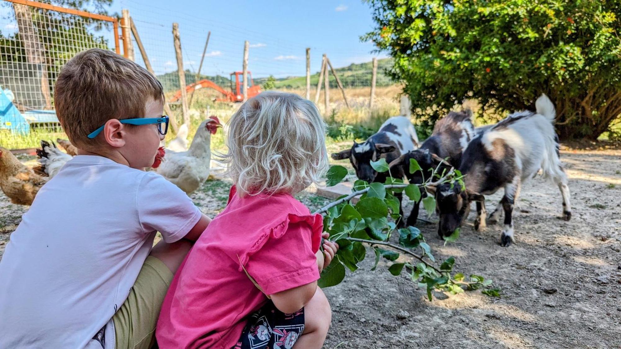 La Quinta Decima Bioagriturismo Fattoria Spedaletto Eksteriør billede
